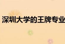 深圳大學(xué)的王牌專業(yè)是什么（哪個(gè)專業(yè)最好）