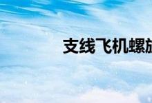 支線飛機(jī)螺旋槳（支線飛機(jī)）