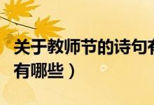 關于教師節(jié)的詩句有哪些（關于教師節(jié)的詩句有哪些）