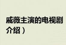 戚薇主演的電視?。P(guān)于戚薇主演的電視劇的介紹）