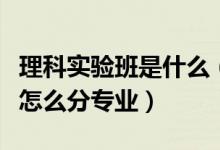 理科實(shí)驗(yàn)班是什么（大學(xué)理科實(shí)驗(yàn)班什么意思怎么分專業(yè)）
