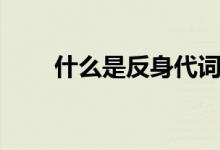 什么是反身代詞（什么是反芻動物）