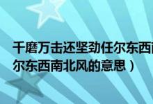 千磨萬擊還堅勁任爾東西南北風(fēng)的作文（千磨萬擊還堅勁任爾東西南北風(fēng)的意思）