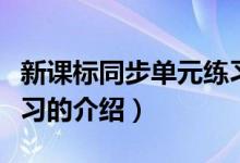 新課標(biāo)同步單元練習(xí)（關(guān)于新課標(biāo)同步單元練習(xí)的介紹）