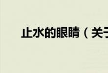 止水的眼睛(關(guān)于止水的眼睛的介紹)