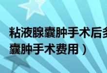 粘液腺囊腫手術(shù)后多久可以正常飲食（粘液腺囊腫手術(shù)費(fèi)用）