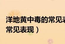 洋地黃中毒的常見表現(xiàn)是什么（洋地黃中毒的常見表現(xiàn)）