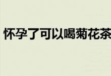 懷孕了可以喝菊花茶嗎（懷孕了可以汗蒸嗎）