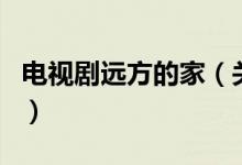 電視劇遠方的家（關于電視劇遠方的家的介紹）