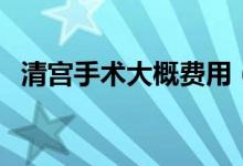清宮手術(shù)大概費用（清宮手術(shù)需要多少錢）