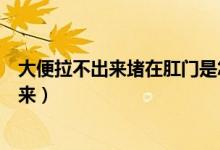大便拉不出來堵在肛門是怎么回事（有大便堵在肛門拉不出來）