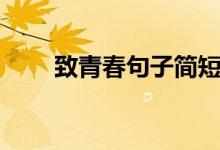 致青春句子簡短的（青春勵志短句）