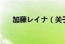 加藤レイナ（關于加藤レイナ的介紹）
