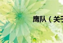 鷹隊(duì)（關(guān)于鷹隊(duì)的介紹）
