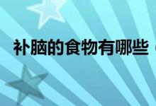 補(bǔ)腦的食物有哪些（吃什么補(bǔ)腦效果最好）