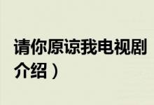 請(qǐng)你原諒我電視?。P(guān)于請(qǐng)你原諒我電視劇的介紹）
