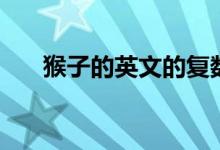 猴子的英文的復數(shù)（猴子的英文單詞）