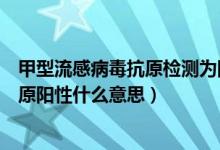 甲型流感病毒抗原檢測(cè)為陽性是什么意思（甲型流感病毒抗原陽性什么意思）