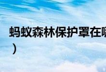 螞蟻森林保護罩在哪里兌換（螞蟻森林保護罩）