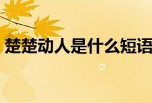 楚楚動(dòng)人是什么短語(yǔ)（楚楚動(dòng)人是什么意思）