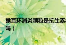 猴耳環(huán)消炎顆粒是抗生素類(lèi)藥嗎（猴耳環(huán)消炎顆粒是抗生素嗎）