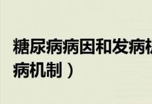 糖尿病病因和發(fā)病機(jī)制論文（糖尿病病因和發(fā)病機(jī)制）