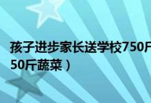 孩子進步家長送學(xué)校750斤蔬菜過程（孩子進步家長送學(xué)校750斤蔬菜）