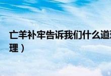 亡羊補牢告訴我們什么道理作文（亡羊補牢告訴我們什么道理）