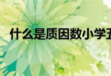 什么是質(zhì)因數(shù)小學五年級（什么是質(zhì)因數(shù)）