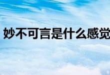 妙不可言是什么感覺（妙不可言是什么意思）