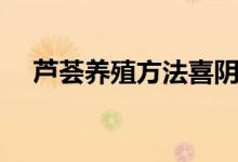 蘆薈養(yǎng)殖方法喜陰還是喜陽(yáng)（蘆薈養(yǎng)殖）