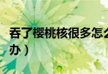 吞了櫻桃核很多怎么排出來(lái)（吞了櫻桃核怎么辦）