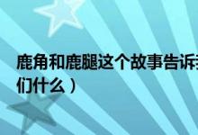 鹿角和鹿腿這個(gè)故事告訴我們（鹿角和鹿腿這個(gè)故事告訴我們什么）