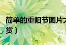 簡單的重陽節(jié)圖片大全（簡單的重陽節(jié)圖畫欣賞）
