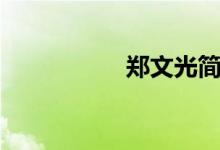 鄭文光簡(jiǎn)介（鄭文光）