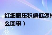 紅細胞壓積偏低怎樣食補（紅細胞壓積偏低怎么回事）