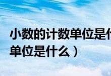 小數(shù)的計數(shù)單位是什么讀作什么（小數(shù)的計數(shù)單位是什么）