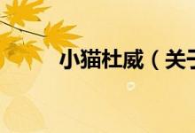 小貓杜威（關于小貓杜威的介紹）