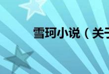 雪珂小說（關(guān)于雪珂小說的介紹）