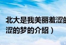 北大是我美麗羞澀的夢（關(guān)于北大是我美麗羞澀的夢的介紹）