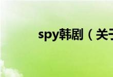 spy韓?。P于spy韓劇的介紹）