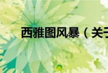 西雅圖風(fēng)暴（關(guān)于西雅圖風(fēng)暴的介紹）