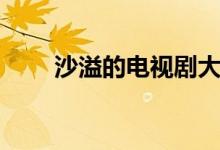 沙溢的電視劇大全（沙溢的電視?。?class=