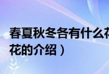 春夏秋冬各有什么花（關(guān)于春夏秋冬各有什么花的介紹）