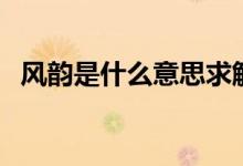 風韻是什么意思求解釋（風韻是什么意思）