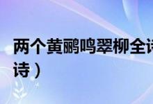 兩個黃鸝鳴翠柳全詩講解（兩個黃鸝鳴翠柳全詩）