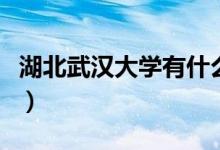 湖北武漢大學有什么專業(yè)（院校開設(shè)專業(yè)一覽）
