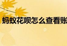 螞蟻花唄怎么查看賬單（螞蟻花唄怎么開通）