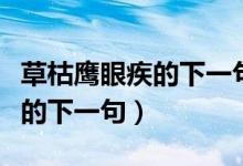 草枯鷹眼疾的下一句詩(shī)句是什么（草枯鷹眼疾的下一句）
