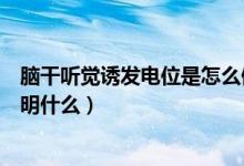 腦干聽覺誘發(fā)電位是怎么做的（腦干聽覺誘發(fā)電位結(jié)果能說明什么）